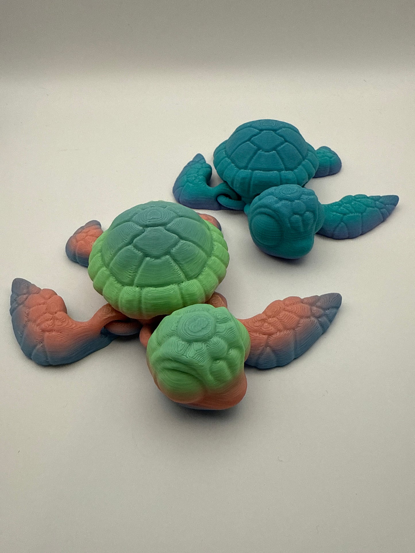 Sea Turtle