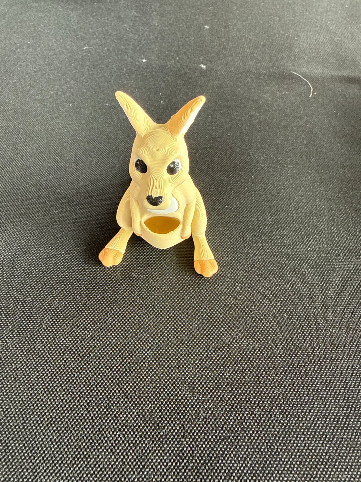 Kangaroo