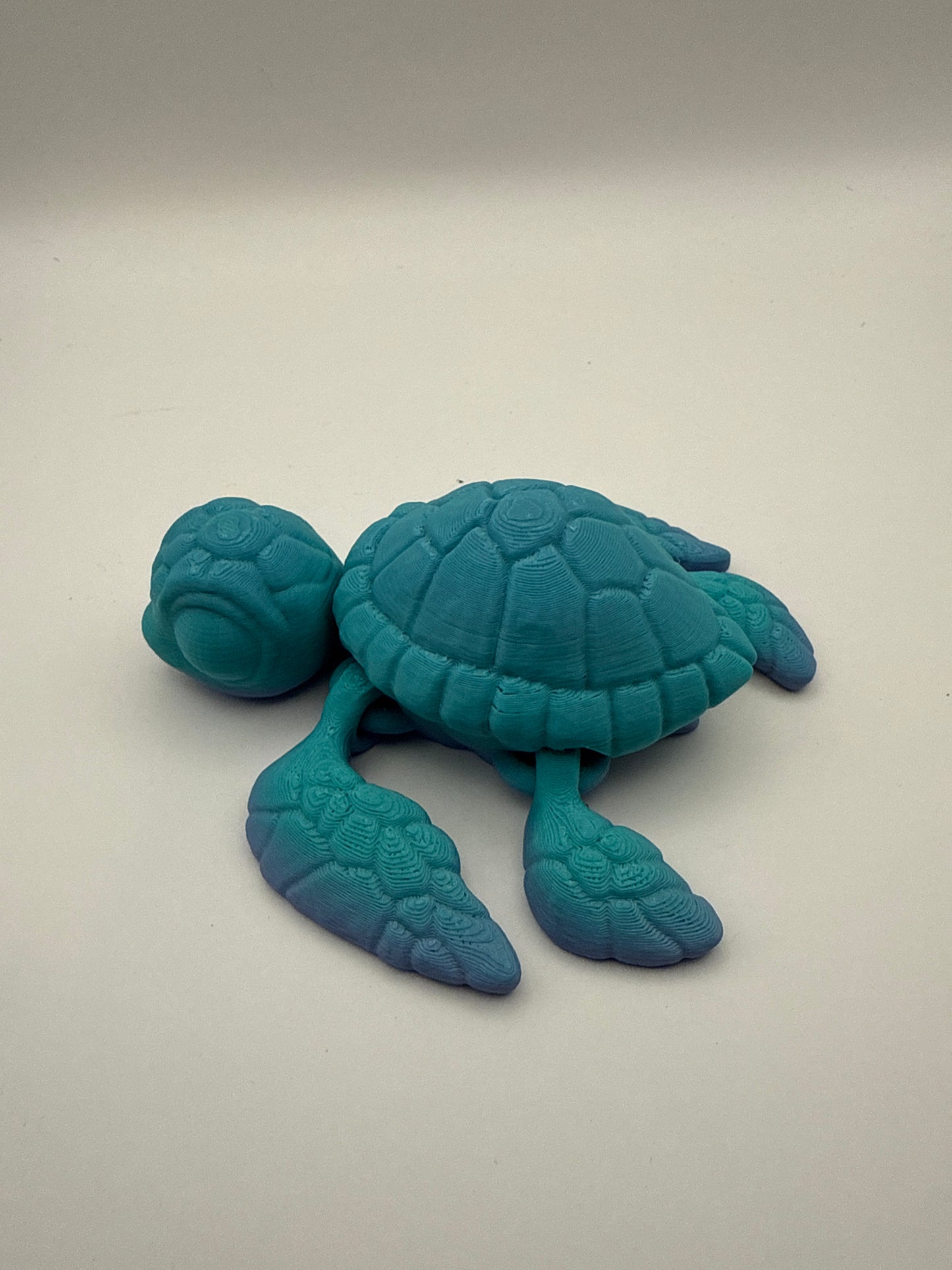 Sea Turtle