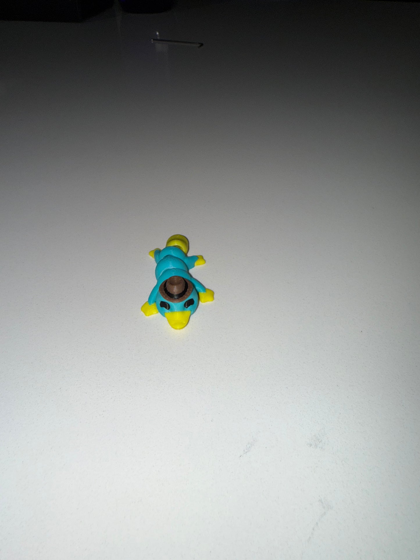 Mini Platypus