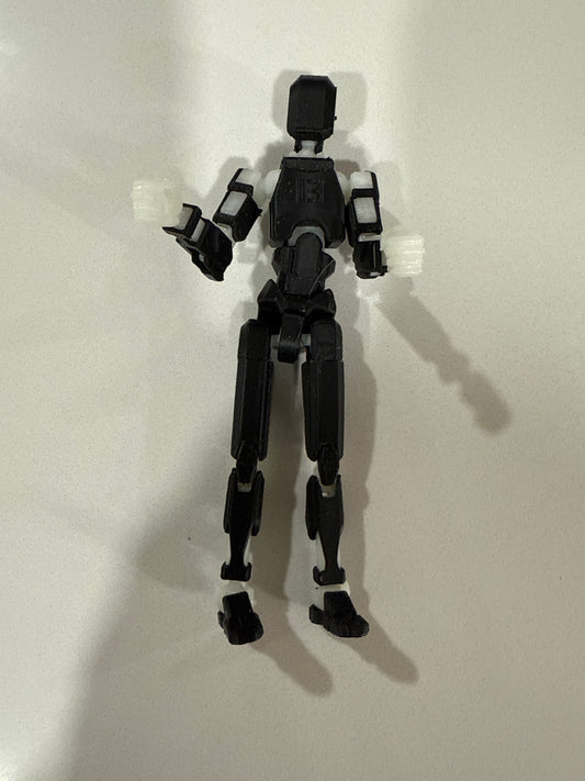 Dummy 13