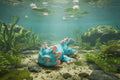Axolotl